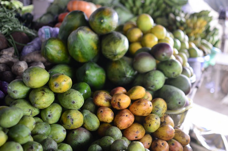 Eight 8 Varieties of Nigerian Mangoes Biology Diagrams