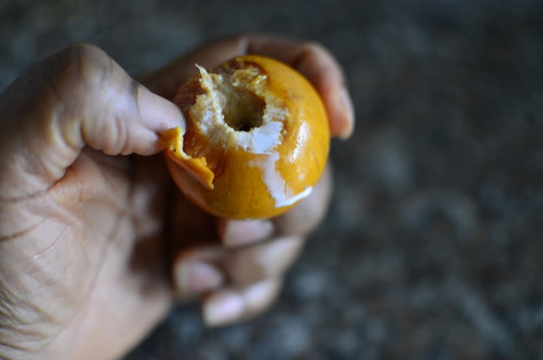 Three Uses for Agbalumo Skin: Gum, Pectin & Bitters