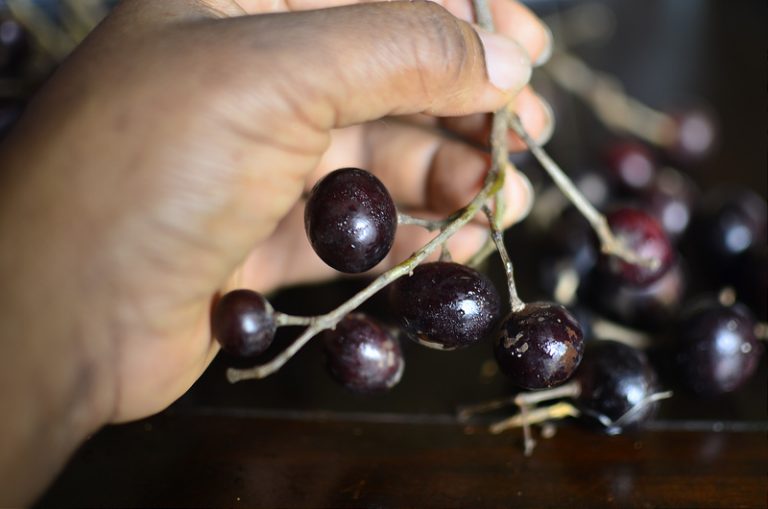 On Oluhun: Learning & Discovery