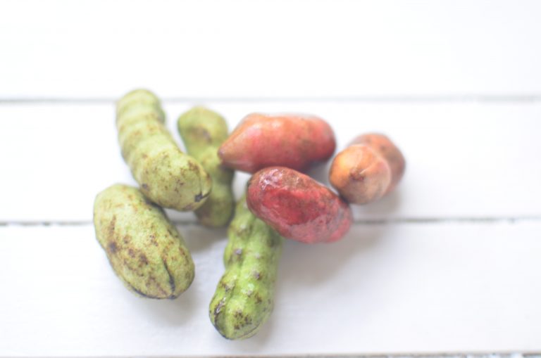 In Season/ Pepperfruit: Unripe & Ripe