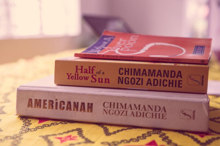 Jollof Rice in Nigerian Literature