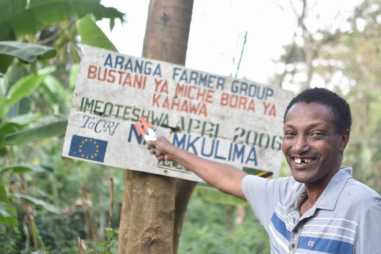 Coffee in Arusha-Tanzania: From Berry/ Cherry to Bean