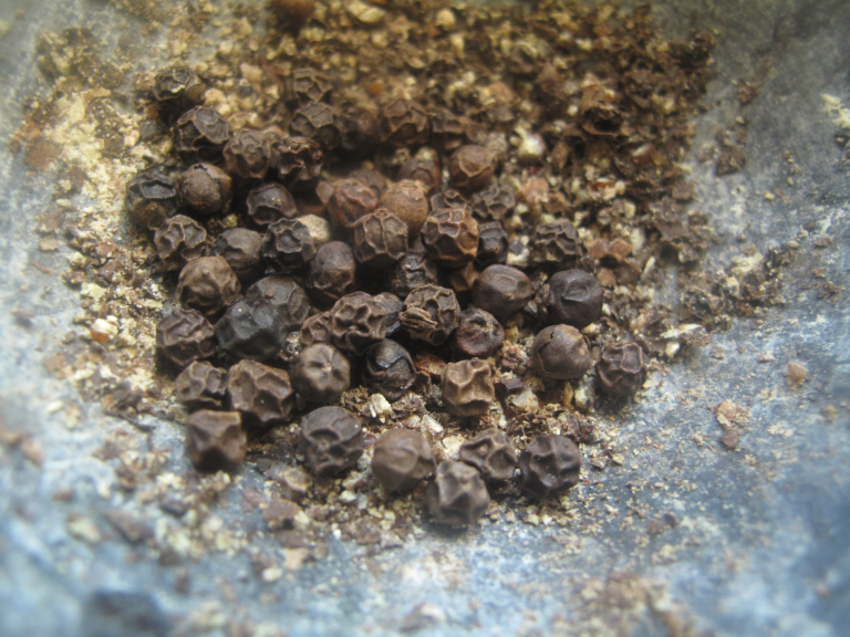 Spiced: Types of Peppercorns – Green, Black, Red and White
