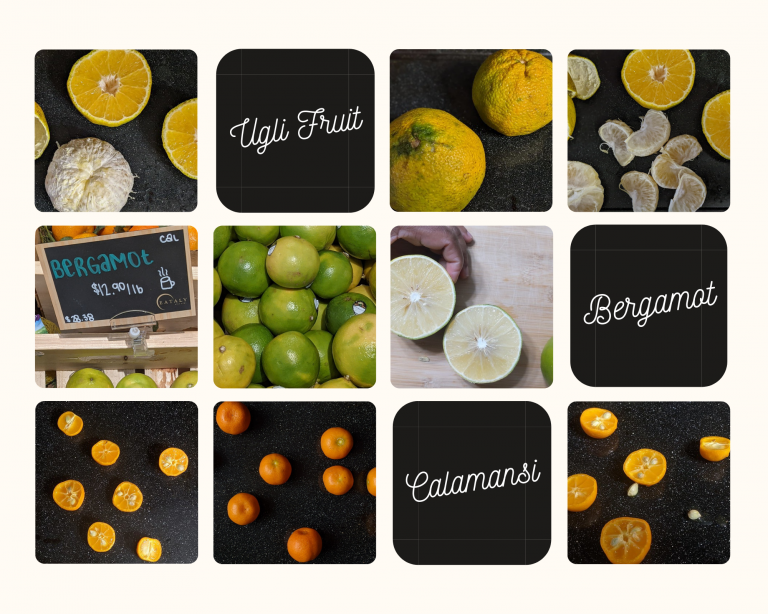 Three (3) Citrus Fruits in my Kitchen this Season