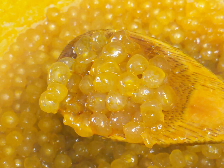 How to make Savory Boba